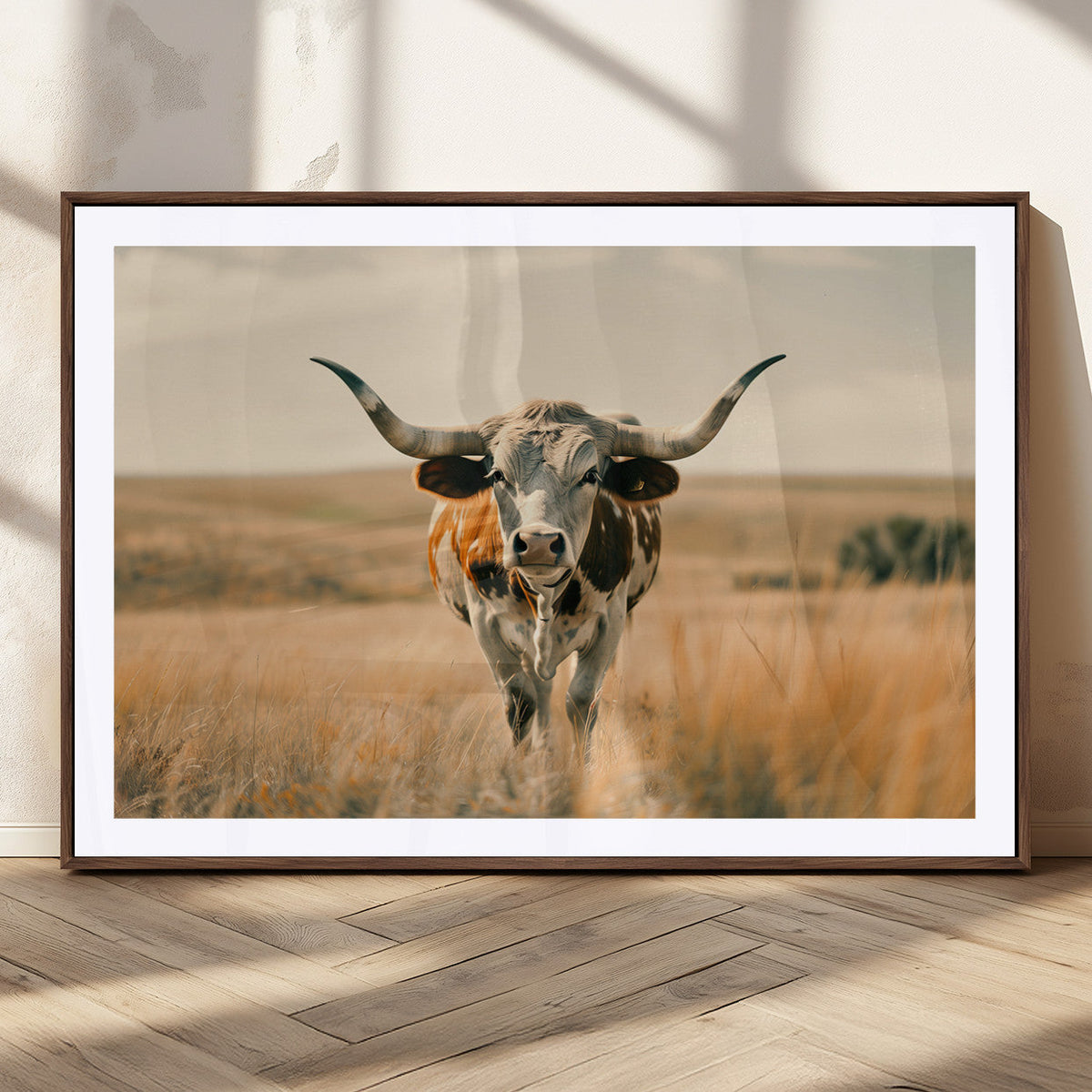 Texas Cow Wall Art Canvas Print for Farm House Wall Decor