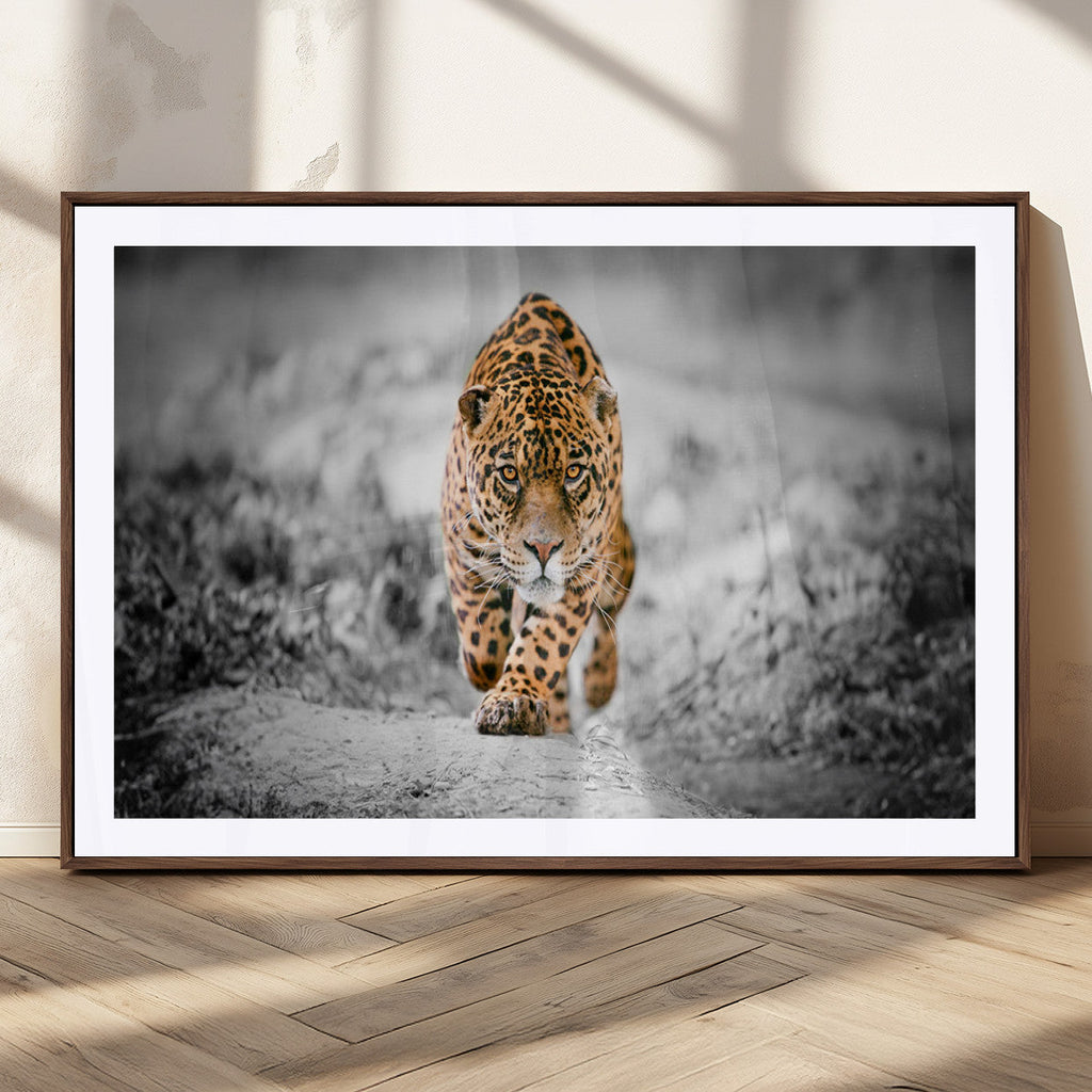Jaguar Wall Art Canvas Print, Majestic Big Cat in Focused Pursuit
