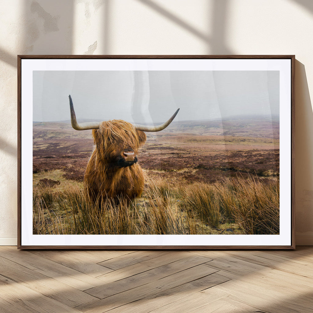 Scottish Highland Cow Canvas Wall Art, Rustic Farmhouse Decor