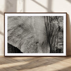 Elephant Wall Art Canvas Print