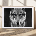 Black and White Wild Wolf Wall Art Canvas Print