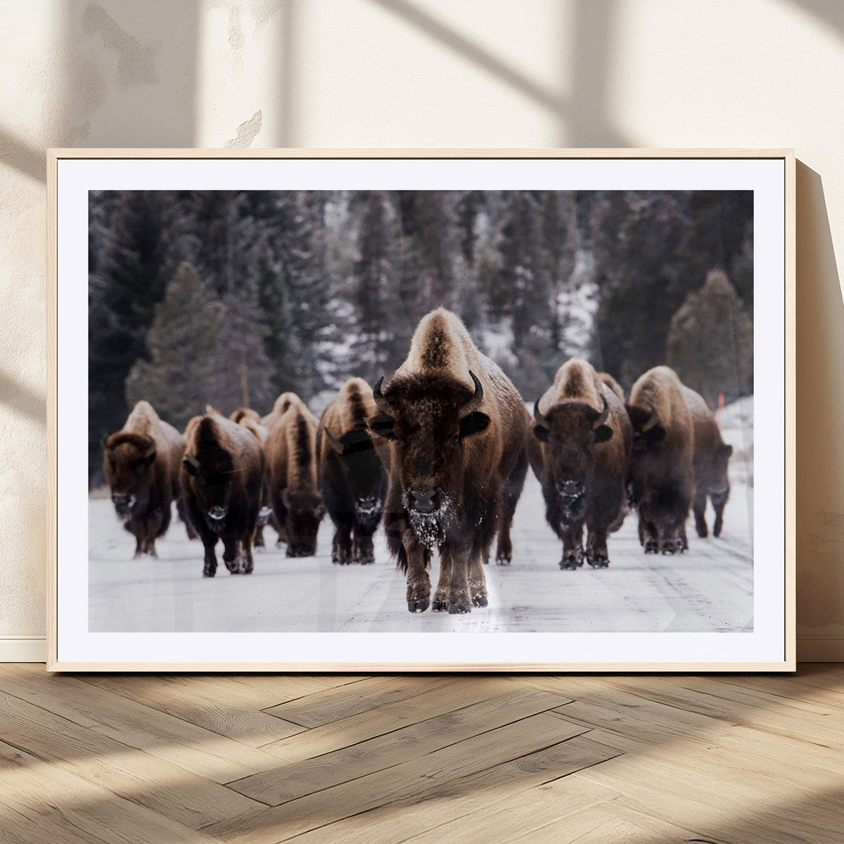 Bison Wall Art Canvas Print, Bison Herd Canvas Wall Art