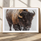 Bison Wall Art Canvas Print For Farmhouse, Wild Animal Wall Art