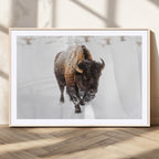 Bison Winter Wall Art Canvas Print For Farmhouse Decor