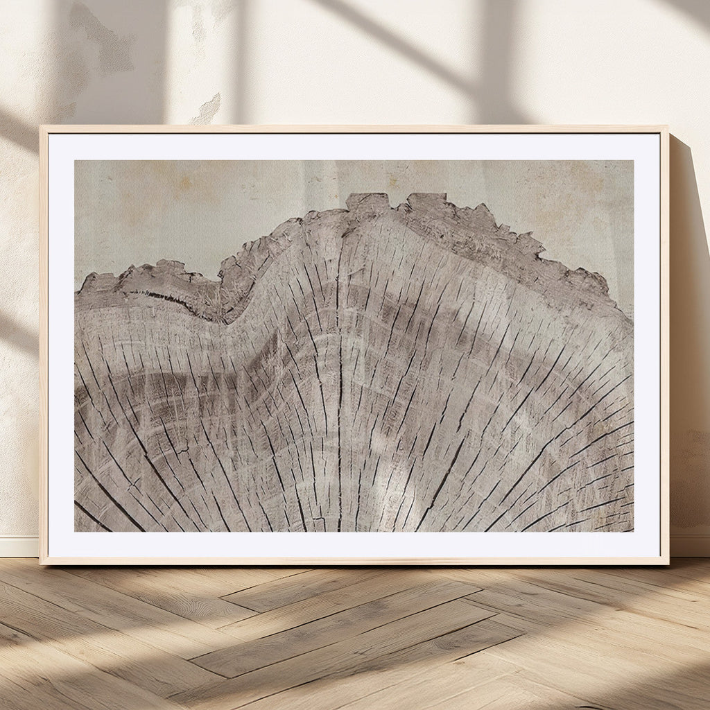 Tree Ring Wall Art Triptych, Rustic Wood Ring Canvas Print