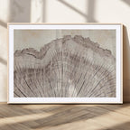 Tree Ring Wall Art Triptych, Rustic Wood Ring Canvas Print