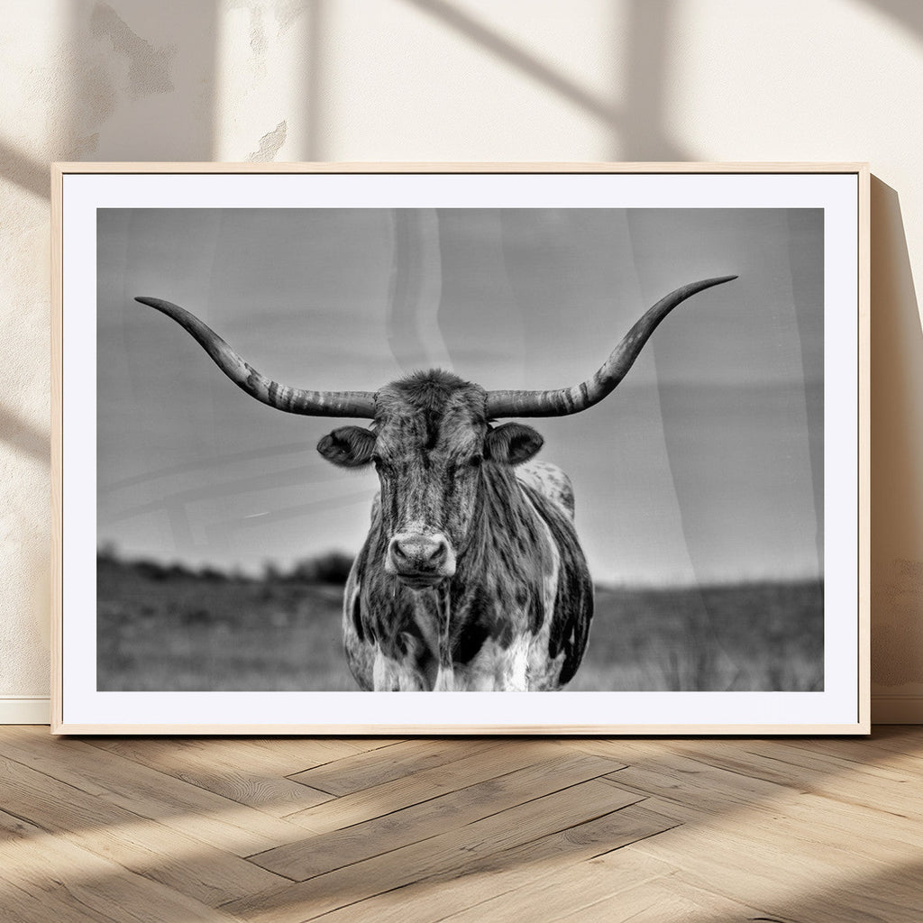 Texas Longhorn Cow Wall Art, Texas Longhorn Canvas, Cattle