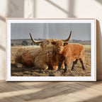 Highland Cow Canvas Wall Art Animal Print for Farm House Decor