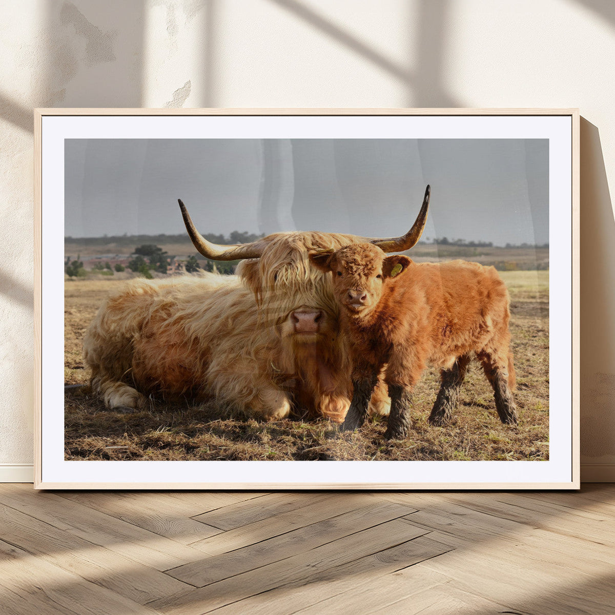 Highland Cow Canvas Wall Art Animal Print for Farm House Decor
