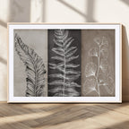 Minimalist Botanical Wall Art Canvas Print, Framed and Ready to Hang