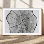 Rustic Tree Ring Wall Art Canvas Print, Framed and Ready to Hang
