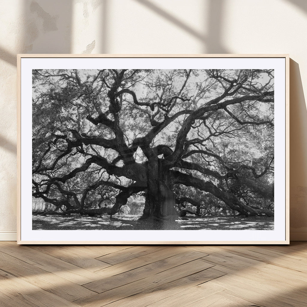 Ancient Oak Wall Art Canvas Print | Gnarled Tree with Twisted Branches