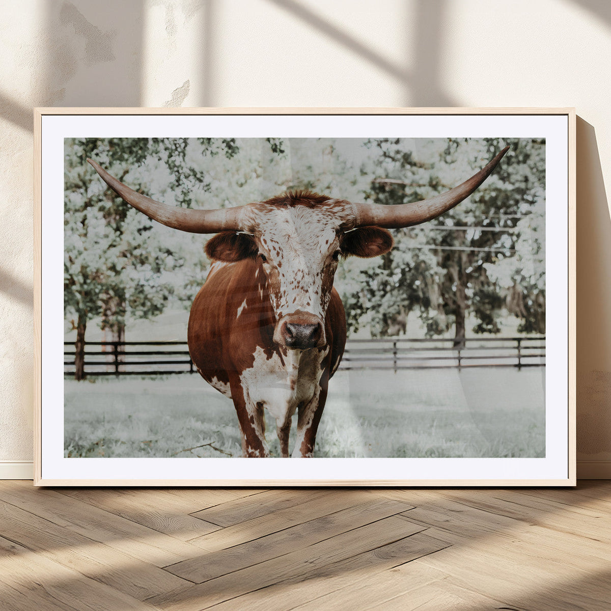 Texas Longhorn Wall Art Canvas Print | Framed Spotted Brown and White Bull