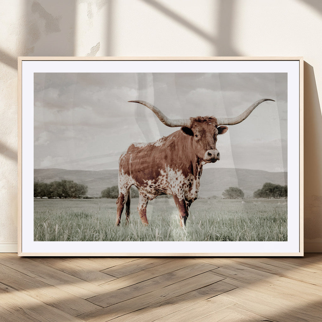 Texas Longhorn Wall Art | Framed Spotted Cattle Canvas