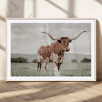 Texas Longhorn Wall Art | Framed Spotted Cattle Canvas