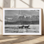 Wild Horses Wall Art | Framed Black White Mountain Canvas