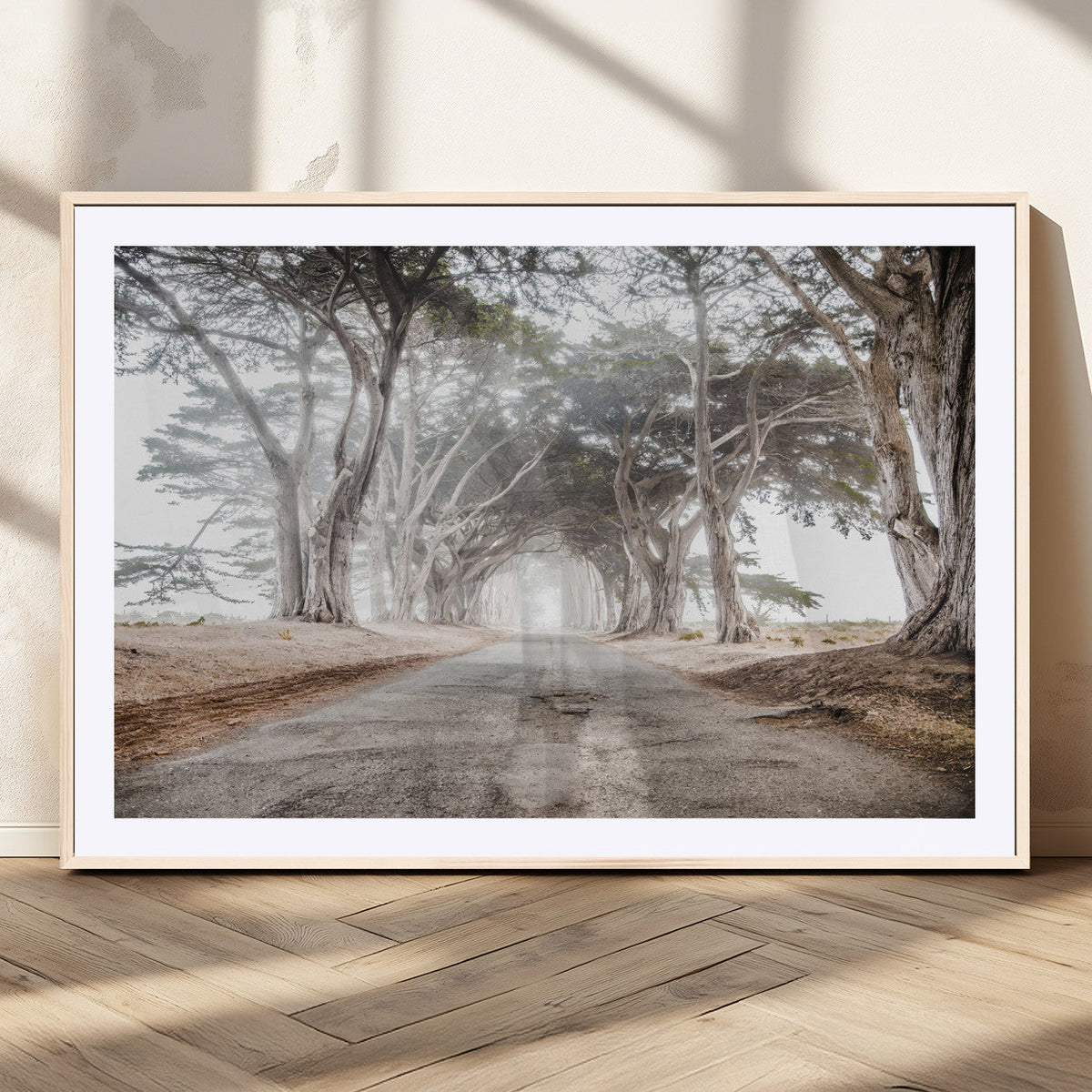 Cypress Tunnel Wall Art | Framed Misty Road Canvas Artwork