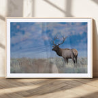 Elk Wall Decor Canvas Print, Framed Rustic Wildlife Art, Mountain Elk Landscape