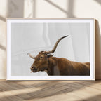 Longhorn Cow Wall Art Canvas Print, Framed Rustic Texas Bull Animal Decor