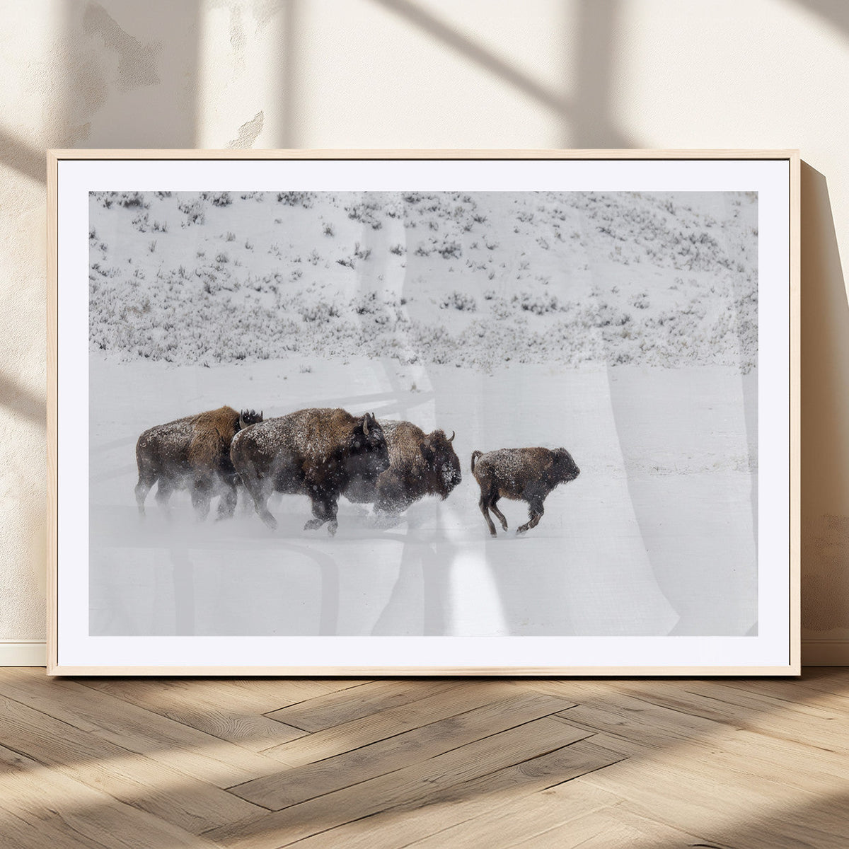 Bison Herd Wall Art Canvas Print, Framed Snowy Bison Scene, Winter Wildlife Decor