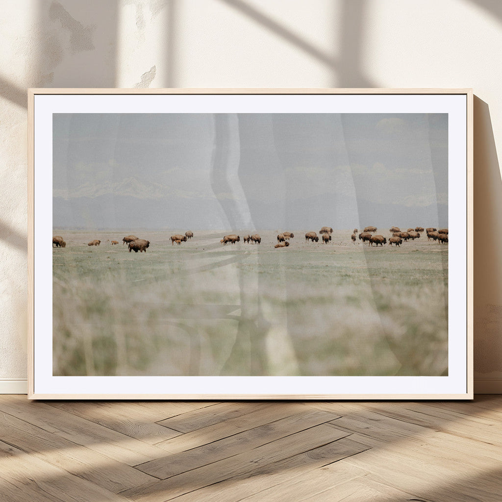 Bison Herd Wall Art Canvas Print, Framed Western Ranch Nature Scene