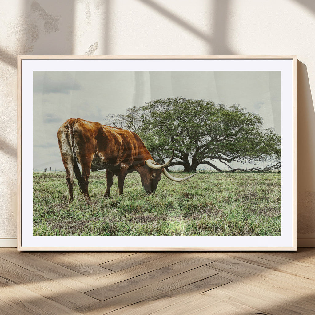 Texas Longhorn Wall Art Canvas Print, Framed Rustic Ranch Western Cattle