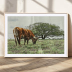 Texas Longhorn Wall Art Canvas Print, Framed Rustic Ranch Western Cattle