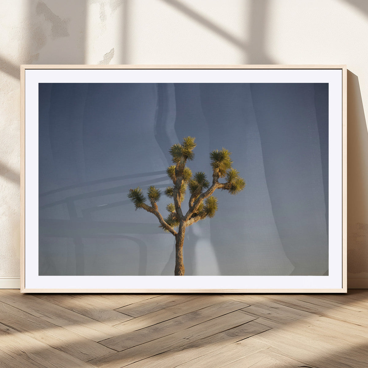 Joshua Tree Wall Art Canvas Print, Framed Southwestern Desert Landscape