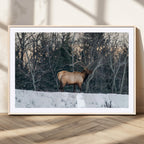 Wild Elk Wall Art Canvas Print, Framed Winter Wildlife in a Snowy Forest