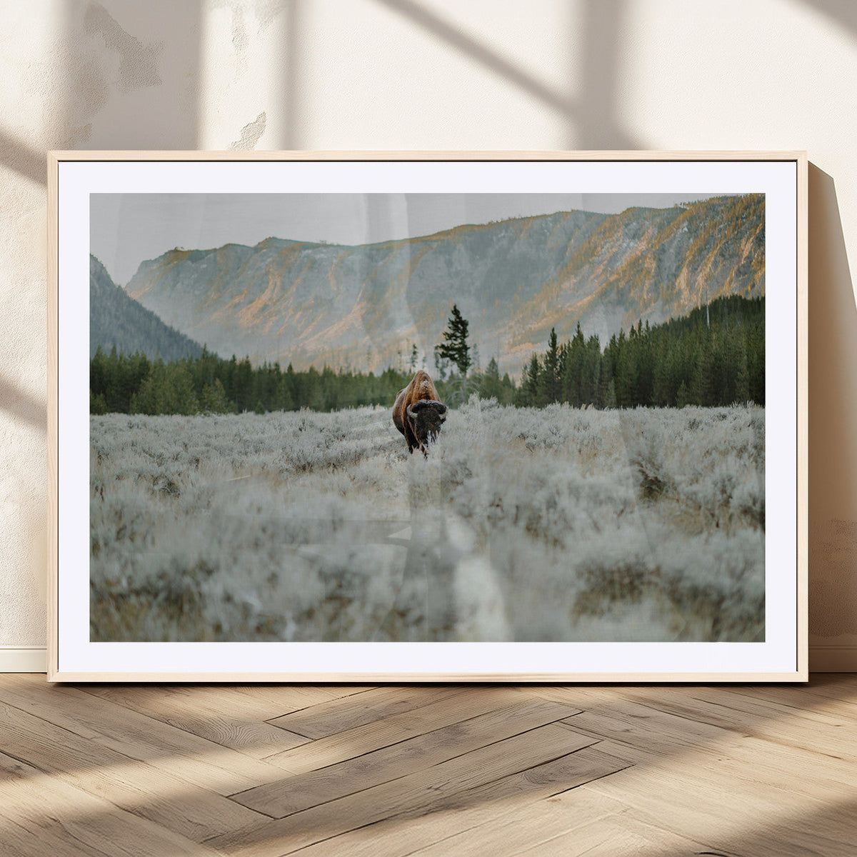 Wild Bison Wall Art Canvas Print, Majestic Mountain Pines and Misty Wilderness