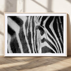 Zebra Stripes Wall Art Canvas Print, Black and White Close Up Wildlife Pattern