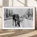 Moose Wall Art Canvas Print, Winter Moose with Antlers in a Snowy Forest