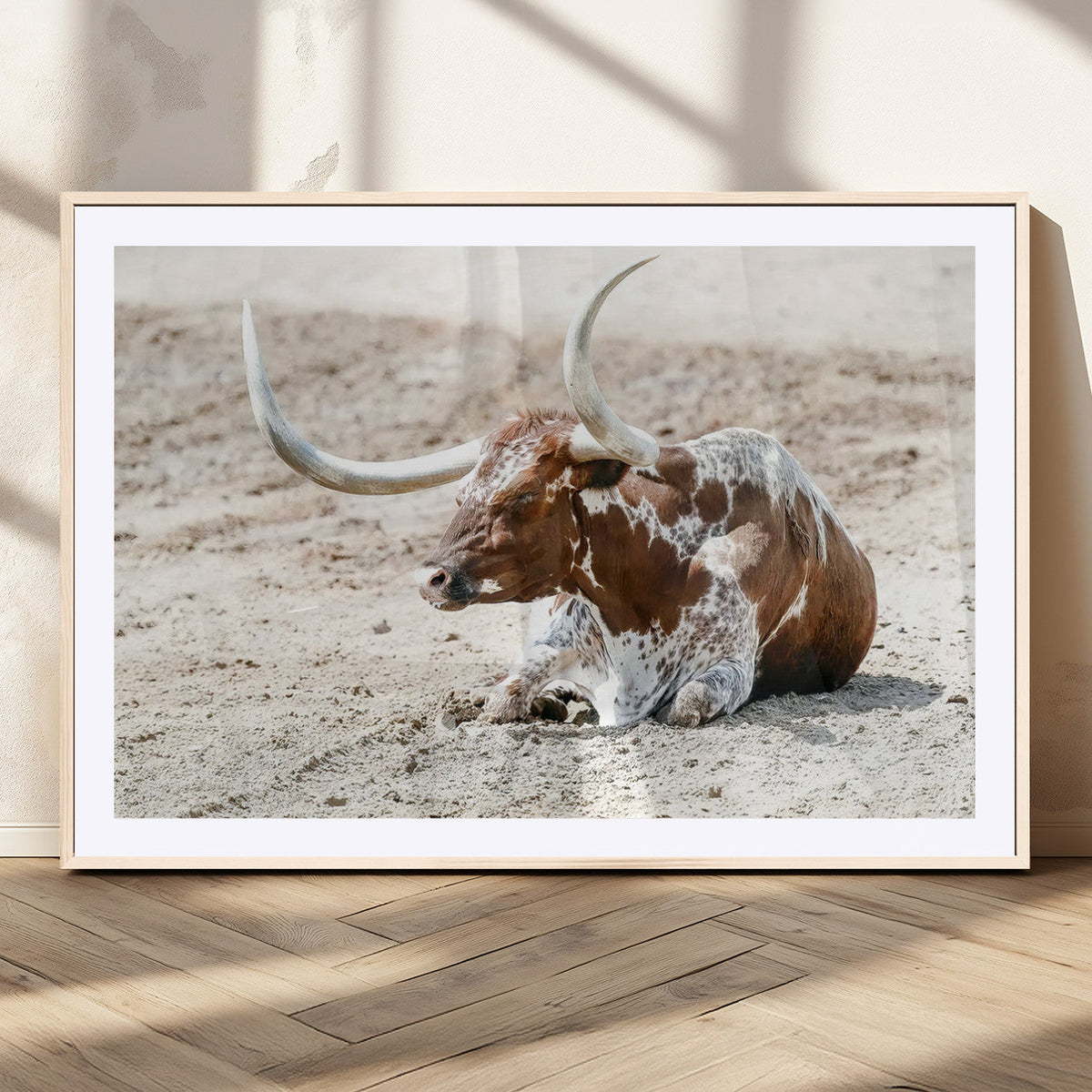 Majestic Longhorn Wall Art Canvas Print, Resting on Sunlit Desert Ground