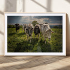 Grazing Cattle Herd Wall Art Canvas Print, Framed Green Pasture Farm Scene