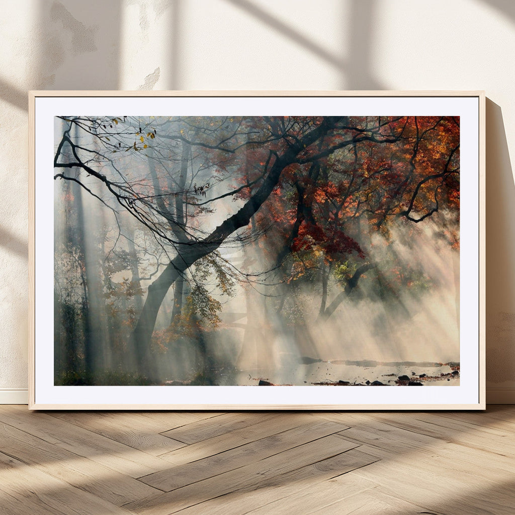 Sunlit Autumn Forest Wall Art Canvas Print