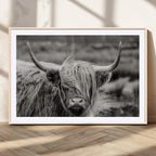 Cow Focus Canvas Wall Art Print