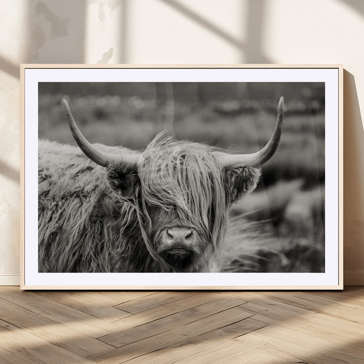 Cow Focus Canvas Wall Art Print