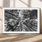 Trees Contemporary Art Canvas Print