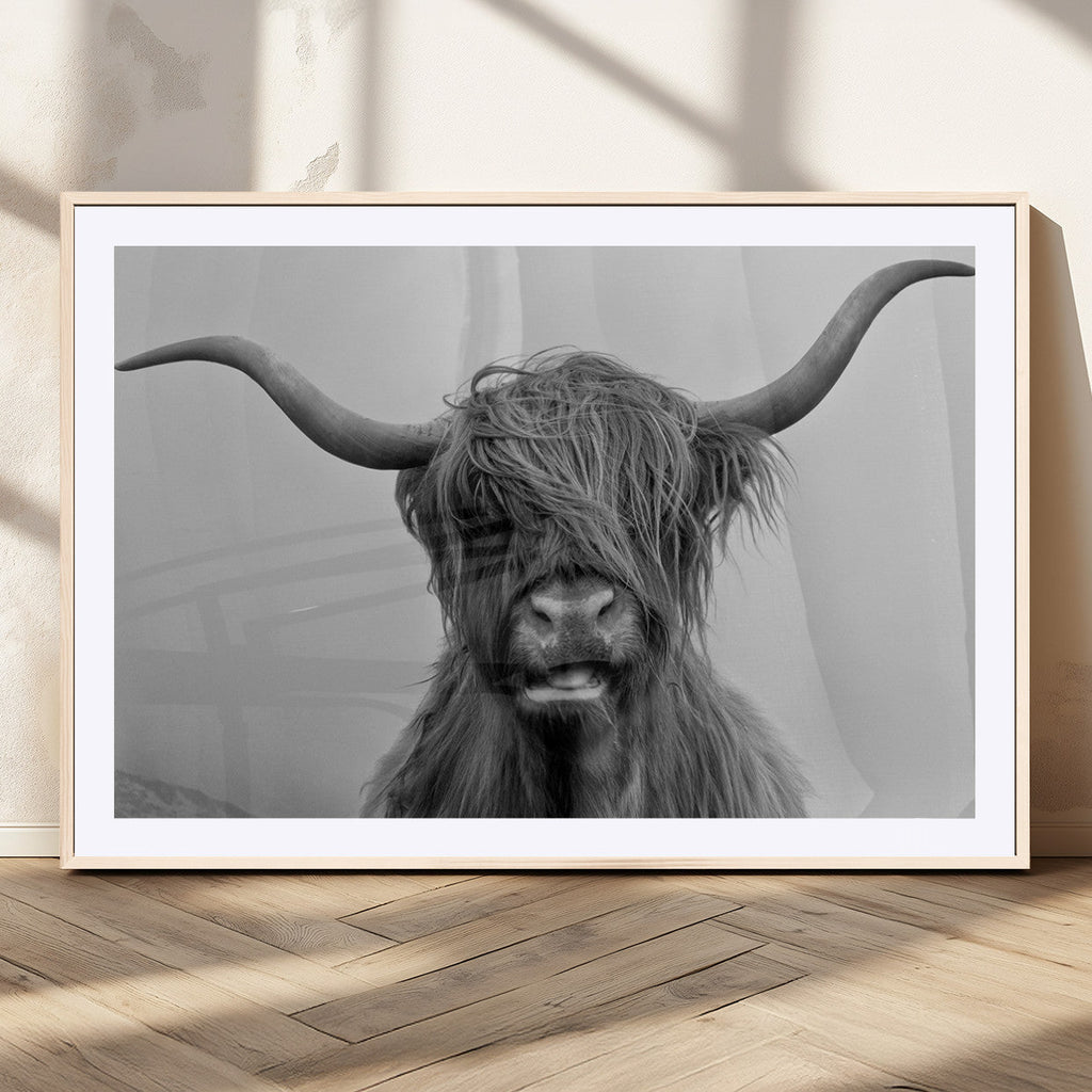 Texas Cow Wall Art Canvas, Texas Longhorn Cattle Canvas Print