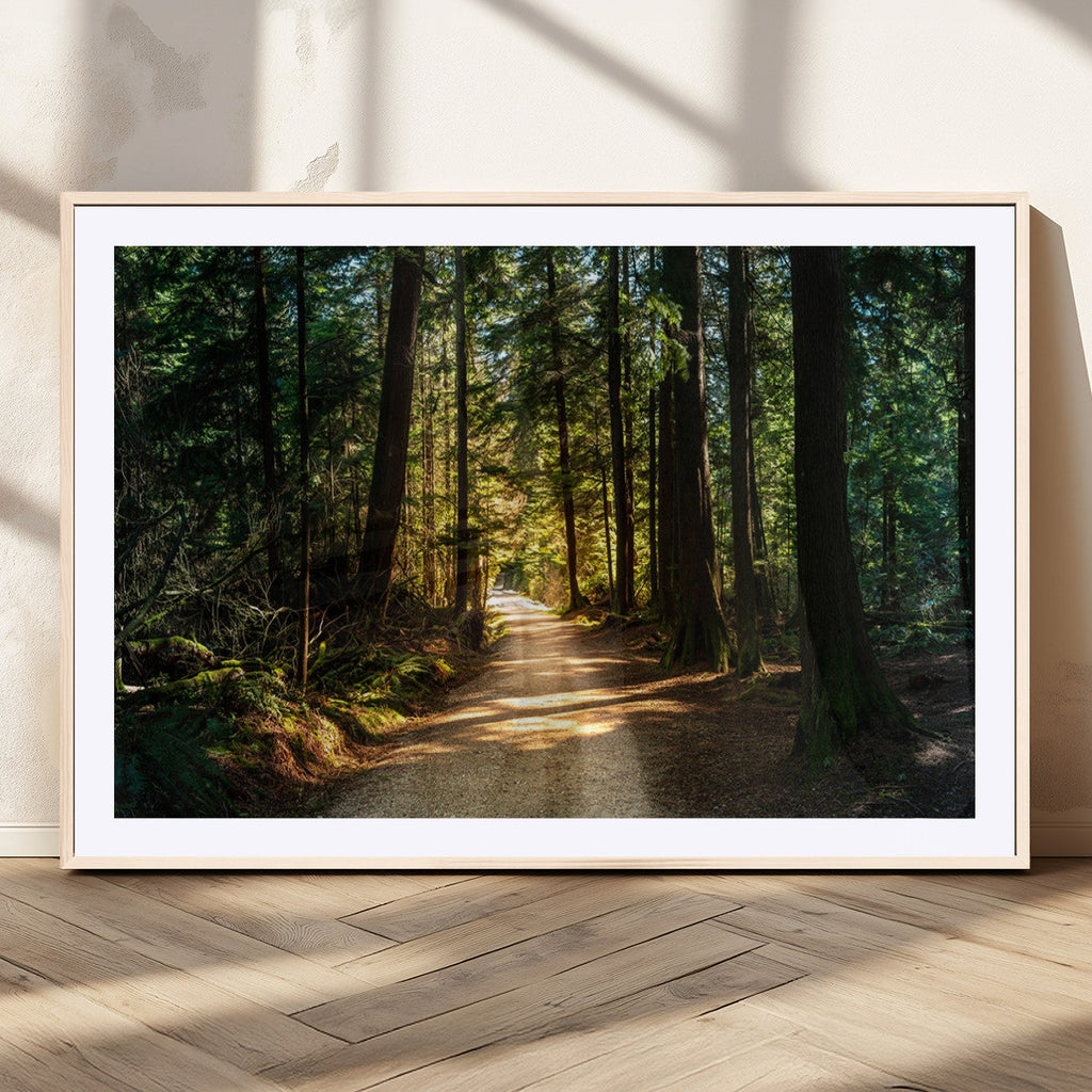 Sunlit Forest Pathway Canvas Print | 3 Panel Large Nature Wall Art