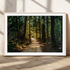 Sunlit Forest Pathway Canvas Print | 3 Panel Large Nature Wall Art