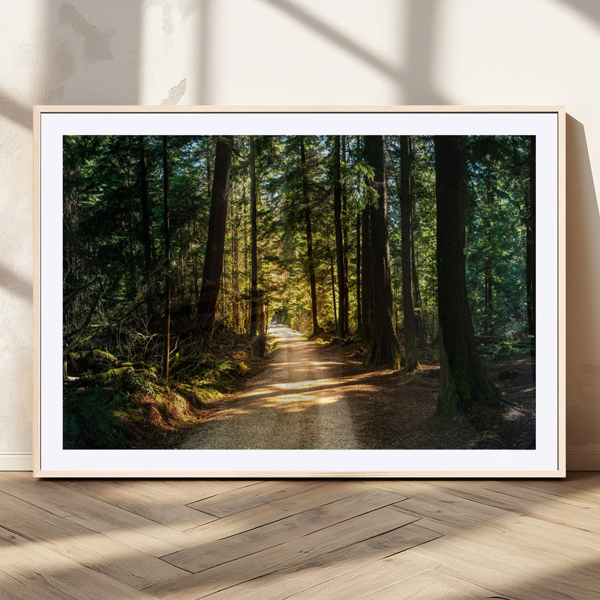 Sunlit Forest Pathway Canvas Print | 3 Panel Large Nature Wall Art