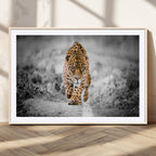Jaguar Wall Art Canvas Print, Majestic Big Cat in Focused Pursuit
