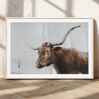 Rustic Bull Wall Art Canvas Print, Modern Longhorn Farmhouse Animal Decor