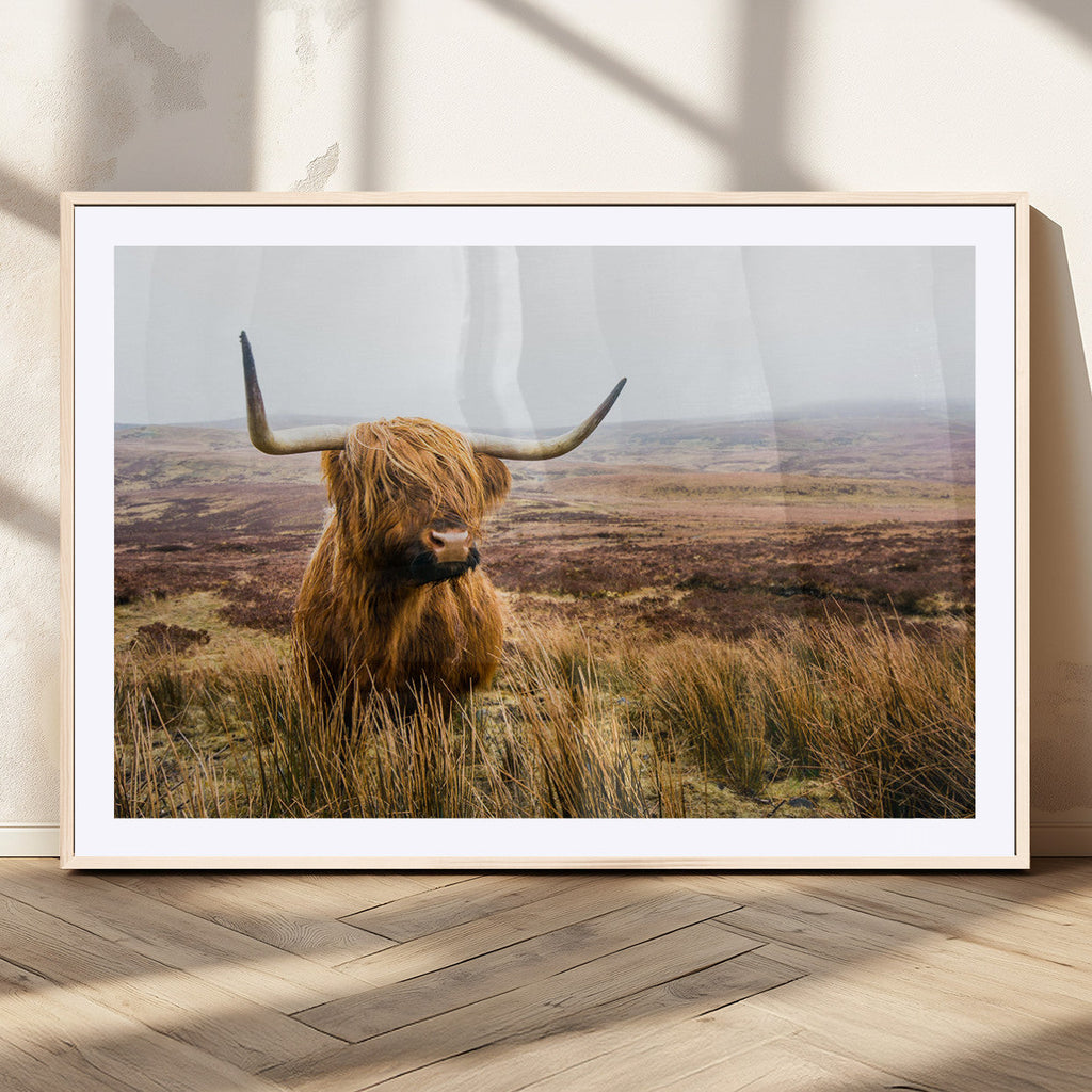 Scottish Highland Cow Canvas Wall Art, Rustic Farmhouse Decor