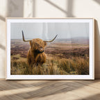 Scottish Highland Cow Canvas Wall Art, Rustic Farmhouse Decor