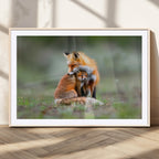 Heartwarming Fox and Baby Cub Wall Art | Canvas Print of Foxes in Nature