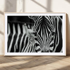 Zebra Wall Art | Zebra Close Up Canvas Print | Framed Black and White Wildlife