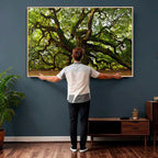 Angel Oak Tree Wall Art Canvas Print | Forest Tree Nature Photography Print