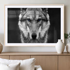 Black and White Wild Wolf Wall Art Canvas Print